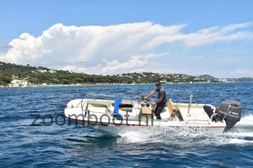 Boston Whaler Newport 17 specificaties 